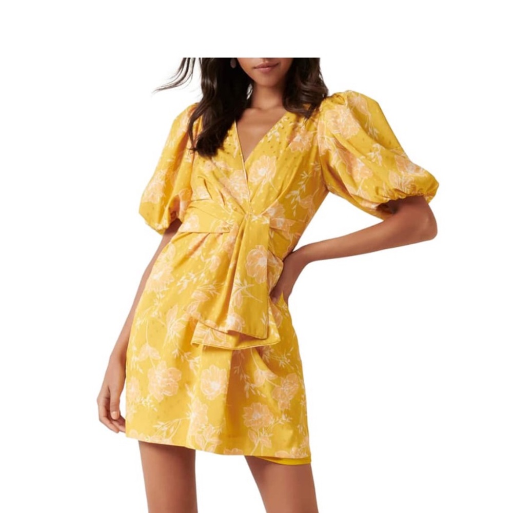 Ever New Esme Puff Dress 4